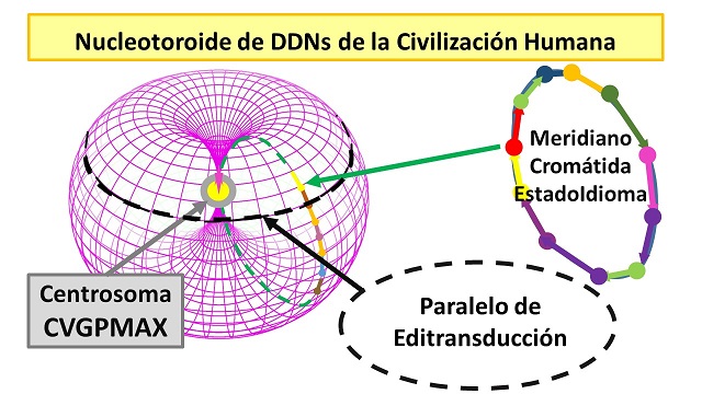 Nucleotoroide Vista Externa 1.jpg